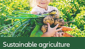 Infographik: Nachhaltige Landwirtschaft