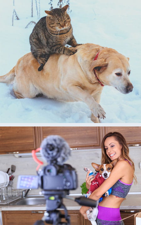 The rise of pet influencers