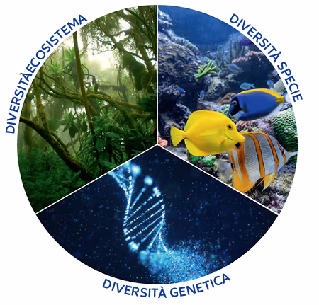Biodiversity