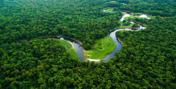 Meandri del fiume Itapanhau nella foresta pluviale - Brasile